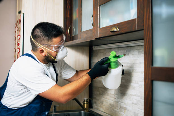 Best Affordable Pest Control Services  in Fairhope, AL