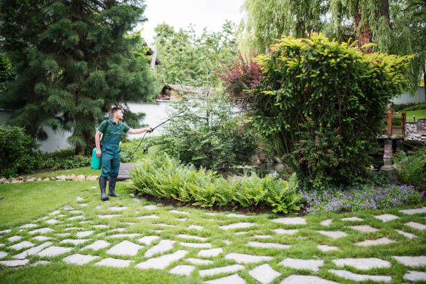 Trusted Fairhope, AL Pest Control Experts
