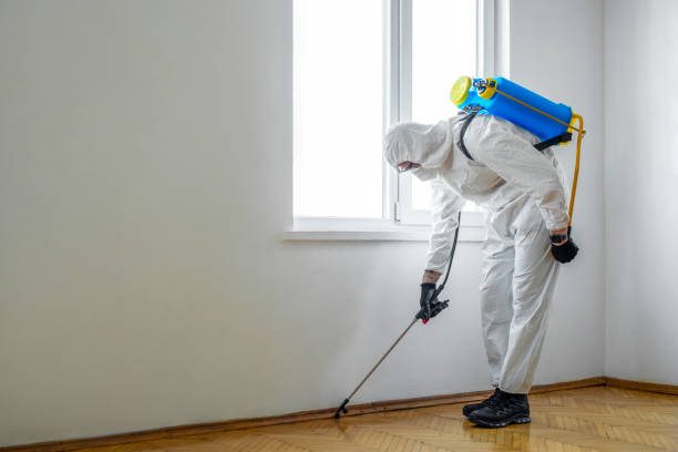 Wasp Removal Services in Fairhope, AL