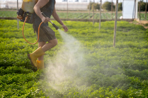 Best Exterminator Services  in Fairhope, AL
