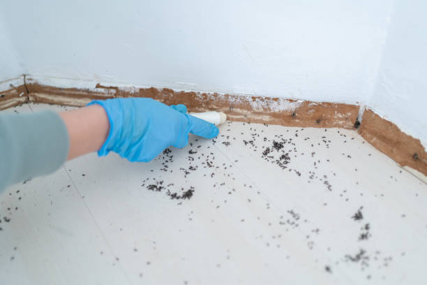 Best Commercial Pest Control Services  in Fairhope, AL