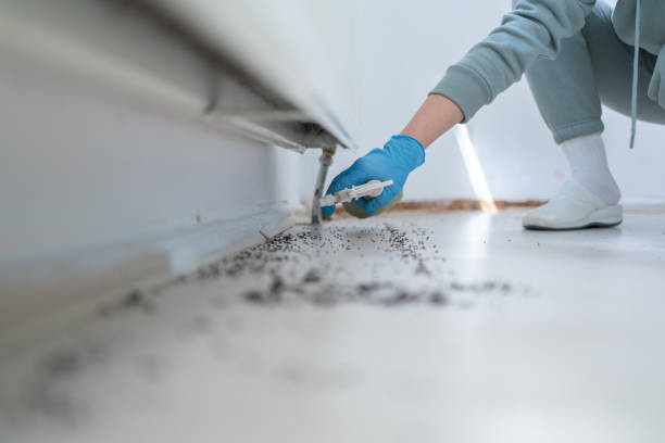 Best Wasp Removal Services  in Fairhope, AL
