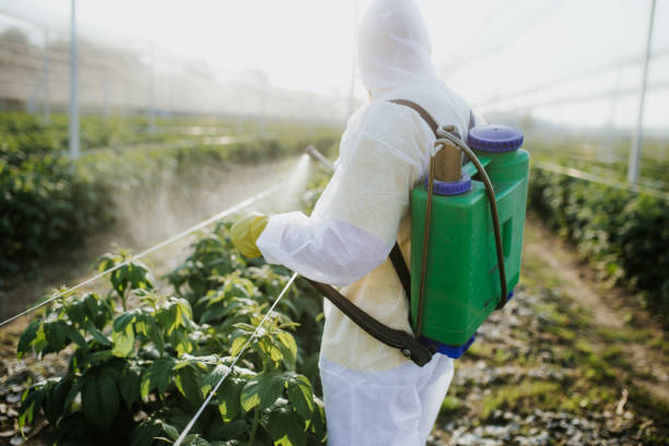 Best Local Pest Control Services  in Fairhope, AL
